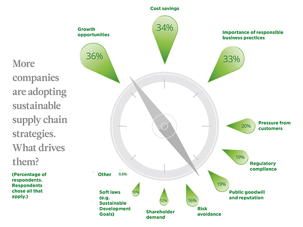 Sustainability’s Missing Link Sustainability’s Missing Link